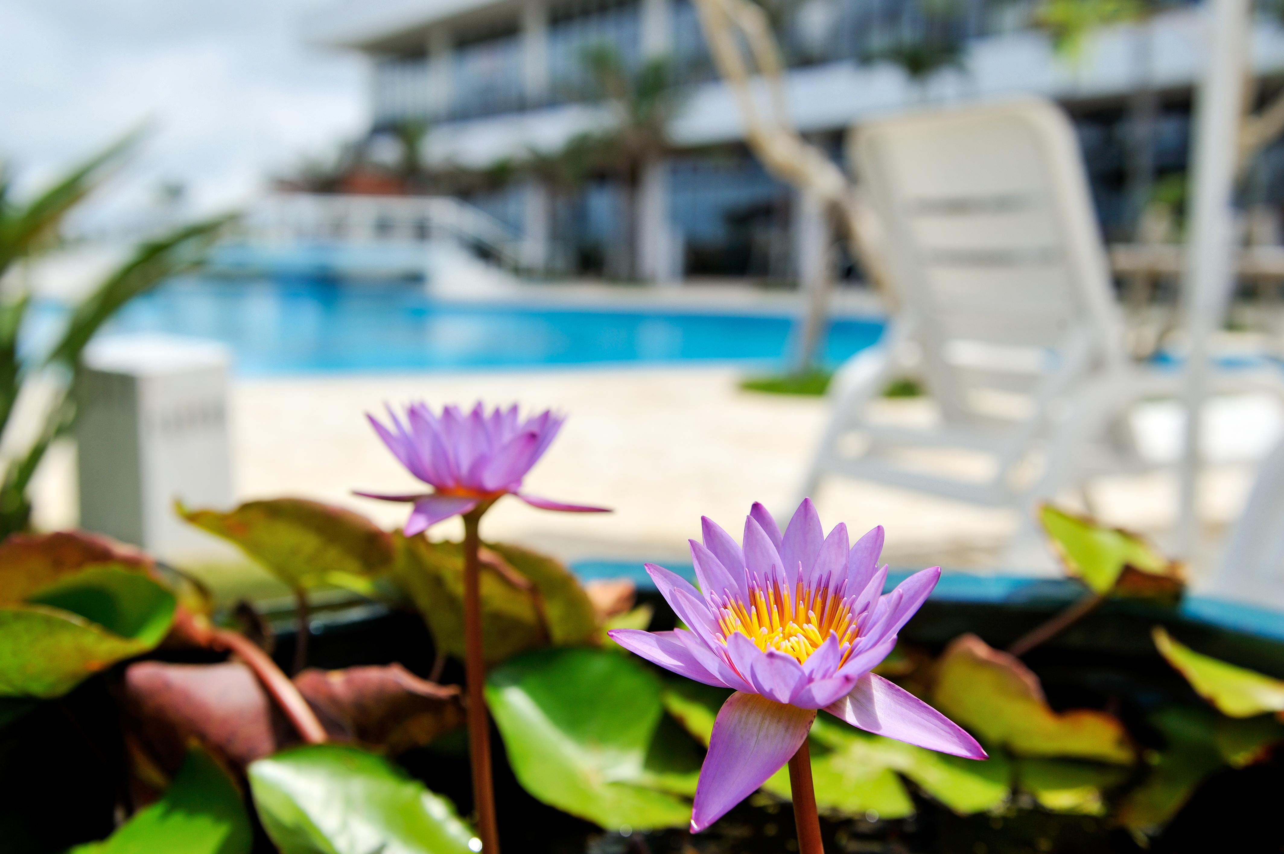 Southern Beach Hotel & Resort Itoman Exterior photo